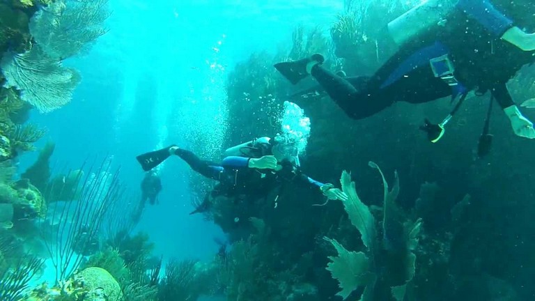 Scuba Diving Bermuda