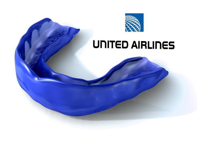 United Airlines Travel Pillow