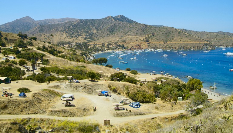 Catalina Island Camping
