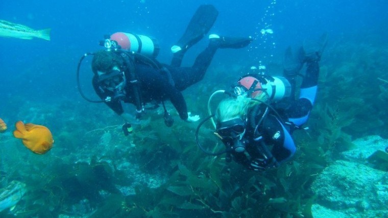 Catalina Island Scuba Diving