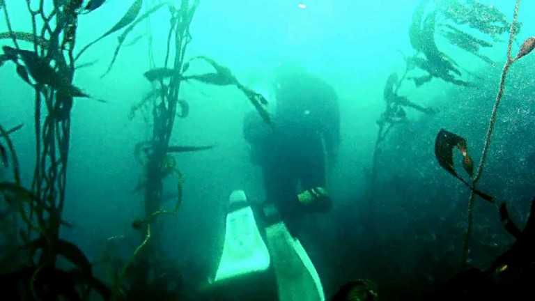 Scuba Diving Monterey