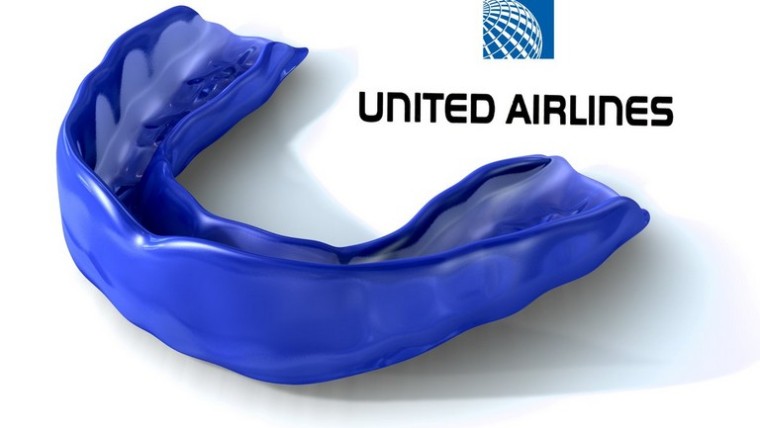 United Airlines Travel Pillow
