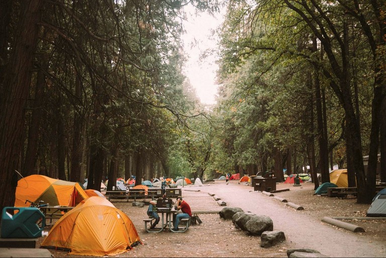 Yosemite Camping Reservations